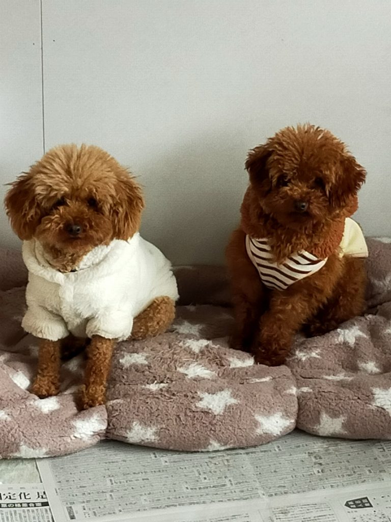 ジジとララ