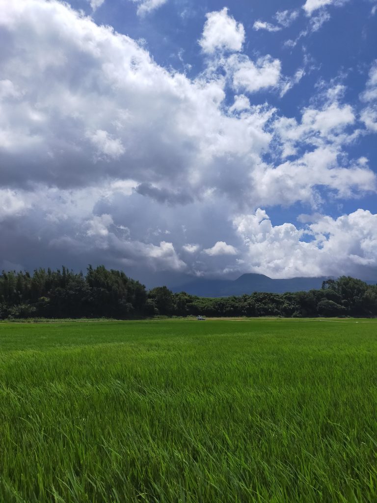 えびのの田んぼ風景